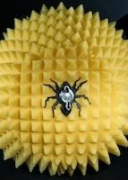 FunnelWeb Filter (FWF): pour mieux respirer