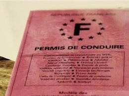 Permis de conduire: le Sénat ne veut pas d'agents publics ou de contractuels examinateurs