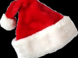 Insolite: faux bonnets rouges mais vrais bonnets d'âne