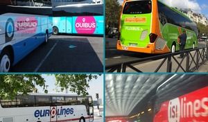 Bus Macron : plus de six millions de voyageurs en 2016