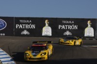 ALMS: Garcia et Fassler rejoignent Corvette.