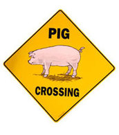 Des panneaux commémoratifs pour les cochons morts sur la route
