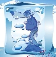 Dafy: soldes en janvier et jeu concours