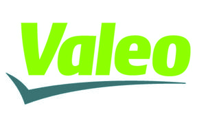 Pollution : le français Valeo à la pointe du filtre à particules