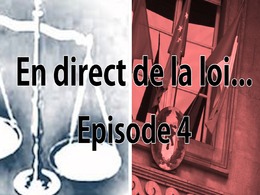 En direct de la loi : plaque d'immatriculation usurpée, que faire (lors d'un PV radar) ?