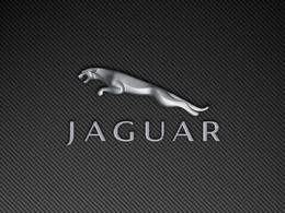Jaguar a le logo préféré des Français
