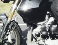 Triumph : Une Tiger 1200, mais pas pour 2011