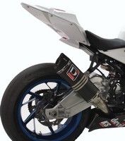 Devil équipe la BMW S1000 RR d'une ligne.