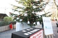 Prévention Routière : lancement de la campagne ''Pour les fêtes, le plus beau des cadeaux c'est de rentrer en vie''