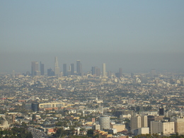 Etude: la pollution atmosphérique endommagerait le cerveau