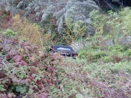 VDM : il rate un virage et plante sa Honda S2000 au millieu d'un champ de plantes vénéneuses