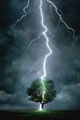 De l'énergie verte. Vraiment verte.