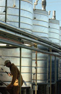 La plus grosse usine de production de biodiesel au monde est française