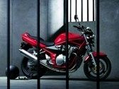 La liberté, une espèce en voie d'extinction!
