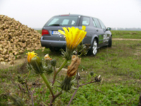 Saab 9-5 Biopower : l'essai avec de l'E85 !