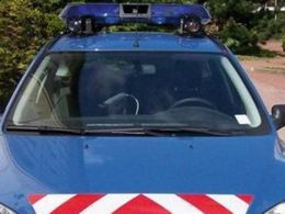 Insolite : le brigadier chef était une voiture volée (certifié Lapi à 78%)