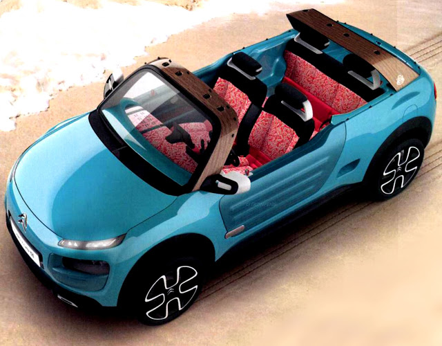 Le concept Citron Cactus M en fuite