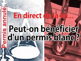 En direct de la loi - Permis annulé : peut-on bénéficier d'un permis blanc ?