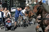 Etude : les Belges ont des connaissances sur l'écologie mais s'impliquent faiblement