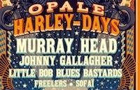 Pour sa 7ème année, l’Opale Shore Ride devient l'Opale Harley Days