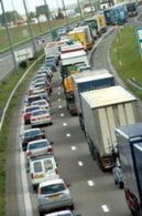 Belgique : comment participer à la protection de l'environnement ?