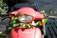 La photo du jour : déco made in Italie.