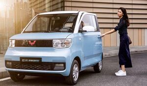 En Chine, l'effet pervers du bonus pour les voitures électriques