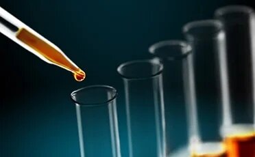 SP95, SP98, E10, E85 : quel carburant choisir ? : guide SP95, SP98, E10, E85 : quel carburant choisir ? : guide