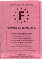 85 000 permis invalidés en 2007