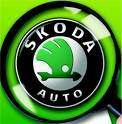WRC: Skoda y pense toujours