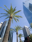 La Californie veut-elle faire partir Toyota ?