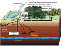 Grande-Bretagne : le CO2 est cerné