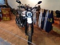 En direct de l'Eicma : Ducati Scrambler Desert Sled