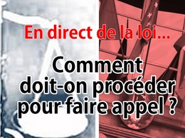 En direct de la loi : pour faire appel, comment s'y prendre ?