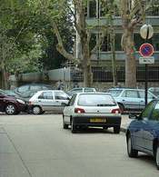 Journée sans voiture : les politiques ont-ils pris leur vélo ?