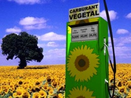 La production globale de biocarburants a atteint des records historiques en 2010