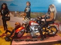 Les Barbies en balade