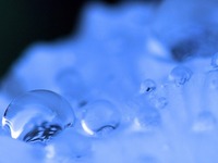 Bientôt un carburant écologique à base d'énergie solaire et d'eau ?