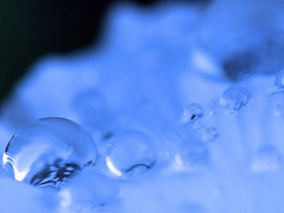 Bientôt un carburant écologique à base d'énergie solaire et d'eau ?