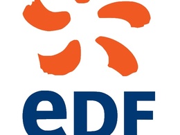Mondial de Paris 2010 : des essais de véhicules électriques organisés par EDF