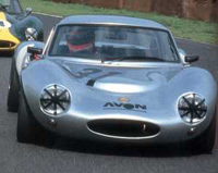 Délicieuses Ginetta G4 et G12