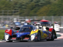 Oreca - Quelle belle saison 2010 en Le Mans Series!