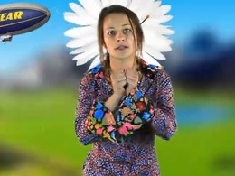 Goodyear n'aime pas les écolos (mais les écolos n'aiment pas Goodyear non plus)