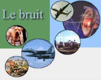 Le bruit peut être une cause mortelle !