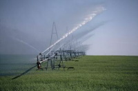 Ennemis jurés : eau et biocarburants
