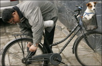 Pékin : la ville aux 50 000 vélos à louer jusqu'au JO !