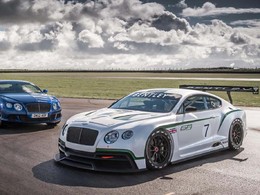 Catégories GTE et GT3: convergence de vue partielle
