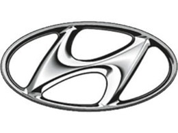 Pour Hyundai, les véhicules électriques ne constituent pas un marché d'avenir