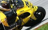 Moto GP: Nos Gaulois en action