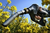 Rapport de l'OCDE : les points noirs des biocarburants